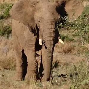 Meet your Posher, Christine